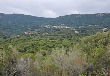 Tocht Stappen Calcatoggio - La Liscia (petite boucle) - Photo