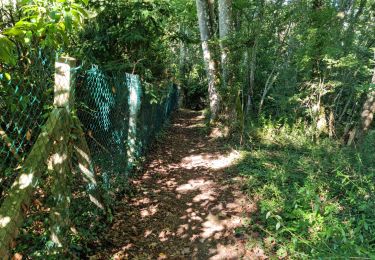 Tocht Stappen Villiers-sur-Loir - Randonnée à Villiers-sur-Loir  - Photo