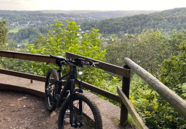 Trail Mountain bike Esneux - 20210826 tour du Boubou  - Photo