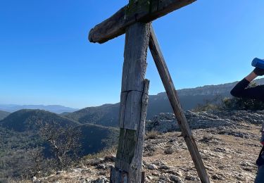 Trail Walking Pourcieux - Crêtes du Mont Aurélien - Photo