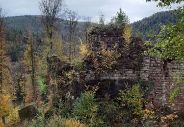 Tour Wandern Koßweiler - cosswiller - Photo