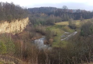 Excursión A pie Eschelbronn - Rundwanderweg Eschelbronn Kallenberg 1: Hetzenloch-Weg - Photo