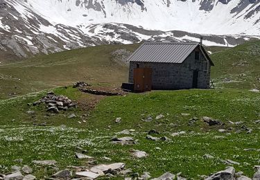 Excursión Senderismo Saint-Dalmas-le-Selvage - lac de privola  - Photo