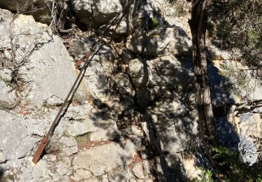 Randonnée Marche La Palud-sur-Verdon - Mayreste - Mayreste - Photo