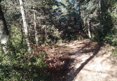 Tour Wandern Vitrolles-en-Luberon - vitrolles en Lubéron. les mascas - Photo