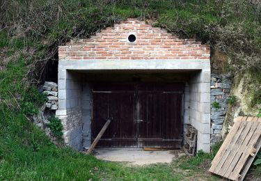 Percorso A piedi Gemeinde Melk - Schallaburgweg - Photo