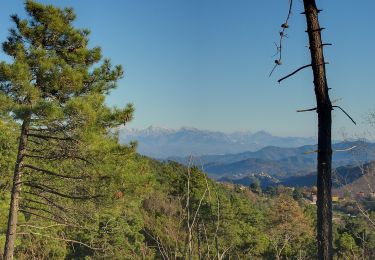 Excursión A pie Carrodano - Case Arsina - Carrodano Superiore - Casa Fogona - Mattarana - Monte Gruzze - Photo