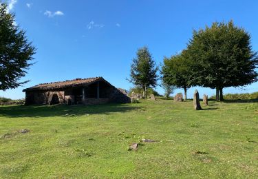 Randonnée Marche Sare - Lizarieta descente par palombieres  - Photo