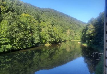 Tour Wandern Bouillon - Rocher du pendu  - Photo