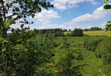 Randonnée Marche Houffalize - achouffe - Photo