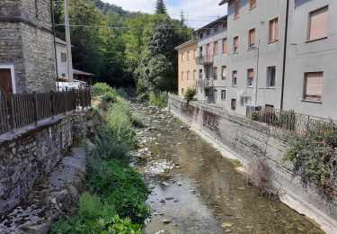 Excursión A pie Bedonia - Anzola - Spora - Passo della Tabella - Monte Crociato - Photo