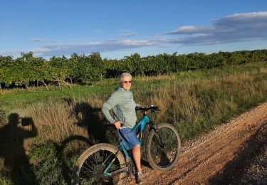 Trail Mountain bike Garrigues-Sainte-Eulalie - Ste Eulalie  St Capte - Photo