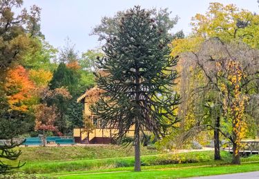 Tour Wandern Paris - GPS Drawing Chess in Paris 30 km - Photo