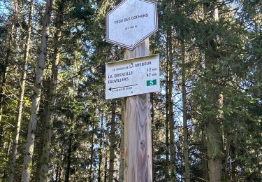 Trail sport Fauvillers - Les trésors de la Missbour - Photo