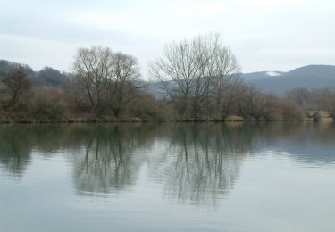 Excursión A pie okres Trenčín - IVV2 - JIRKOV CHODNÍK (dôchodcovská trasa) - Photo