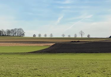 Tour Wandern Löwen - S-GR Hageland : Leuven - Vertrijk - Photo