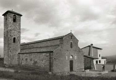 Tour Zu Fuß Figline e Incisa Valdarno - IT-27A - Photo