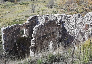 Tour Wandern Coursegoules - 2020-10 Trace circuit du vieriou - Photo