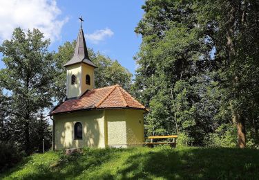 Tour Zu Fuß Gemeinde Groß Gerungs - Kotting Nondorf-Wanderweg 39 - Photo