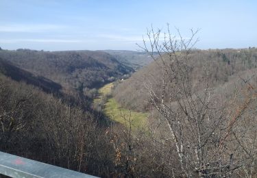 Tour Wandern Guyans-Durnes - Saules 