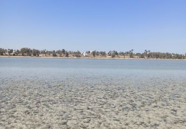Percorso Marcia  - l'île aux oiseaux par temps de lagune très basse - Photo