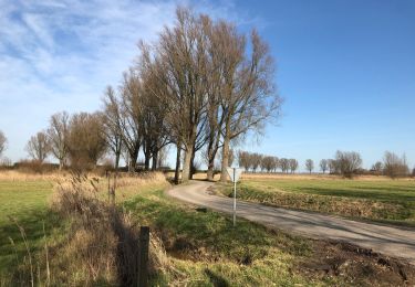 Tour Wandern Steenbergen - Nieuw Vossemeer, langs de Eendracht - Photo