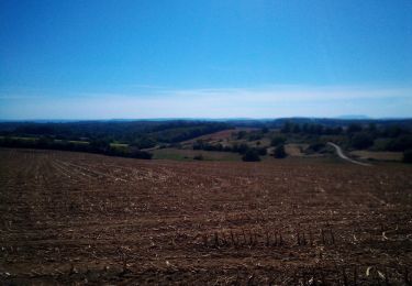 Randonnée Marche Ferrières-les-Bois - Ferrières les bois - Photo