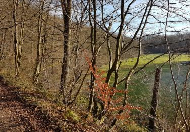 Tocht Stappen Beaumont - Renlies- Solre St Géry - Photo