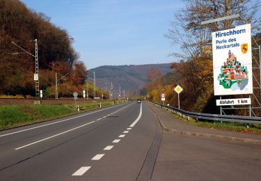 Randonnée A pied Neckarsteinach - Rundwanderweg Neckarhausen 1: Michelbuch-Weg - Photo