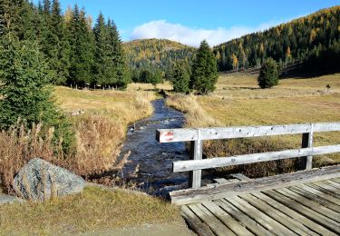 Tocht Te voet Albeck - Gurkgraben - Photo