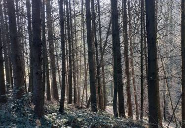 Trail Walking Challes-les-Eaux - bois noir-chambotte-néquidé - Photo