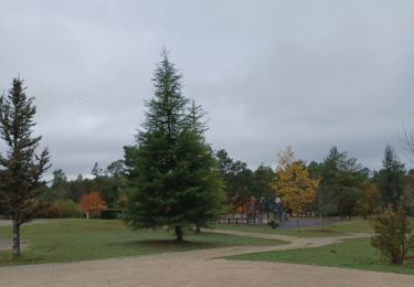 Tocht Stappen Sorges et Ligueux en Périgord - Sorges et Ligueux en Périgord - Photo