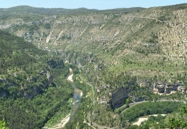 Tocht Noords wandelen Gorges du Tarn Causses - Sainte-Enimie - L'ermitage - Photo