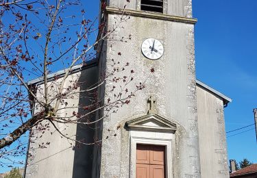 Randonnée Marche Rogéville - ROGEVILLE - LA PETITE SUISSE PAR MAMEY ET GEZONCOURT - Photo