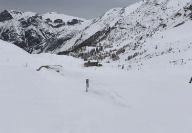 Tocht Sneeuwschoenen Entraunes - Le col de la petite Cayolle  - Photo