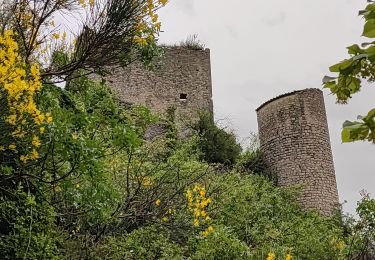 Randonnée Marche La Roche-sur-le-Buis - 240608 - Roche sur Buis  - Photo