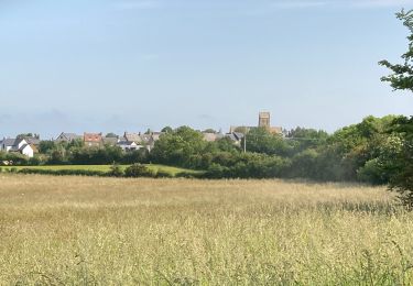 Tocht Stappen Vains - Le Grouin du Sud - Photo