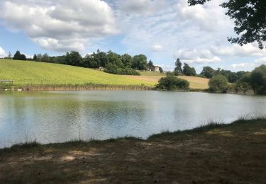 Tocht Stappen Cornille - Boucle de l étang Cornille par Pognac et Lafayardie  - Photo