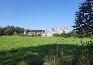 Excursión Senderismo Saint-M'Hervé - GR_37_AJ_24_St-M'Herve_Vitre_20210718 - Photo