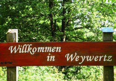 Trail Walking Bütgenbach - 4950 Weywertz -Robertville - Weywertz 16 Km 30-07-2022 - Photo