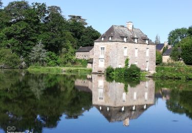 Trail Walking Baulon - Baulon Maxent étang de la Musse - Photo