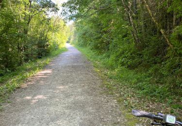 Tour Mountainbike Vabres-l'Abbaye - St jean D’acapies - Photo