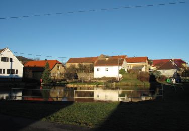 Excursión A pie Horní Kamenice - [Ž] Holubí hlava - Hráz - Photo