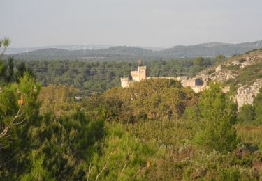 Tocht Stappen La Barben - PF-La Barben - Vallon de l'Apothicaire - Photo