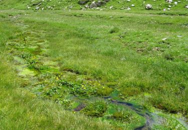 Excursión Senderismo Gavarnie-Gèdre - Vallée de la Canau  ( Gavarnie) - Photo