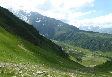 Tour Wandern Saint-Gervais-les-Bains - F74170 Saint Gervais TMB col de Tricot MJC - Photo