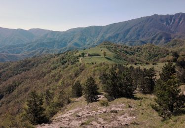 Percorso A piedi Bagno di Romagna - Da Ridracoli a San Paolo in Alpe per la valle del Rio Bacine - Photo