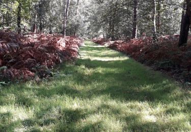 Tour Wandern Petit-Couronne - Petit-couronne. Vers le puis Hébert 10 Km - Photo