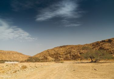 Excursión A pie מועצה אזורית רמת נגב - IL-17270 - Photo