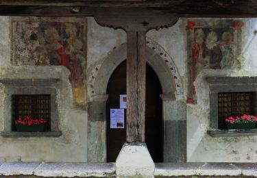 Randonnée A pied Forni di Sopra - Truoi dai Sclops - Photo